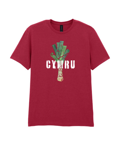 ADULT T SHIRT LEEK WALES