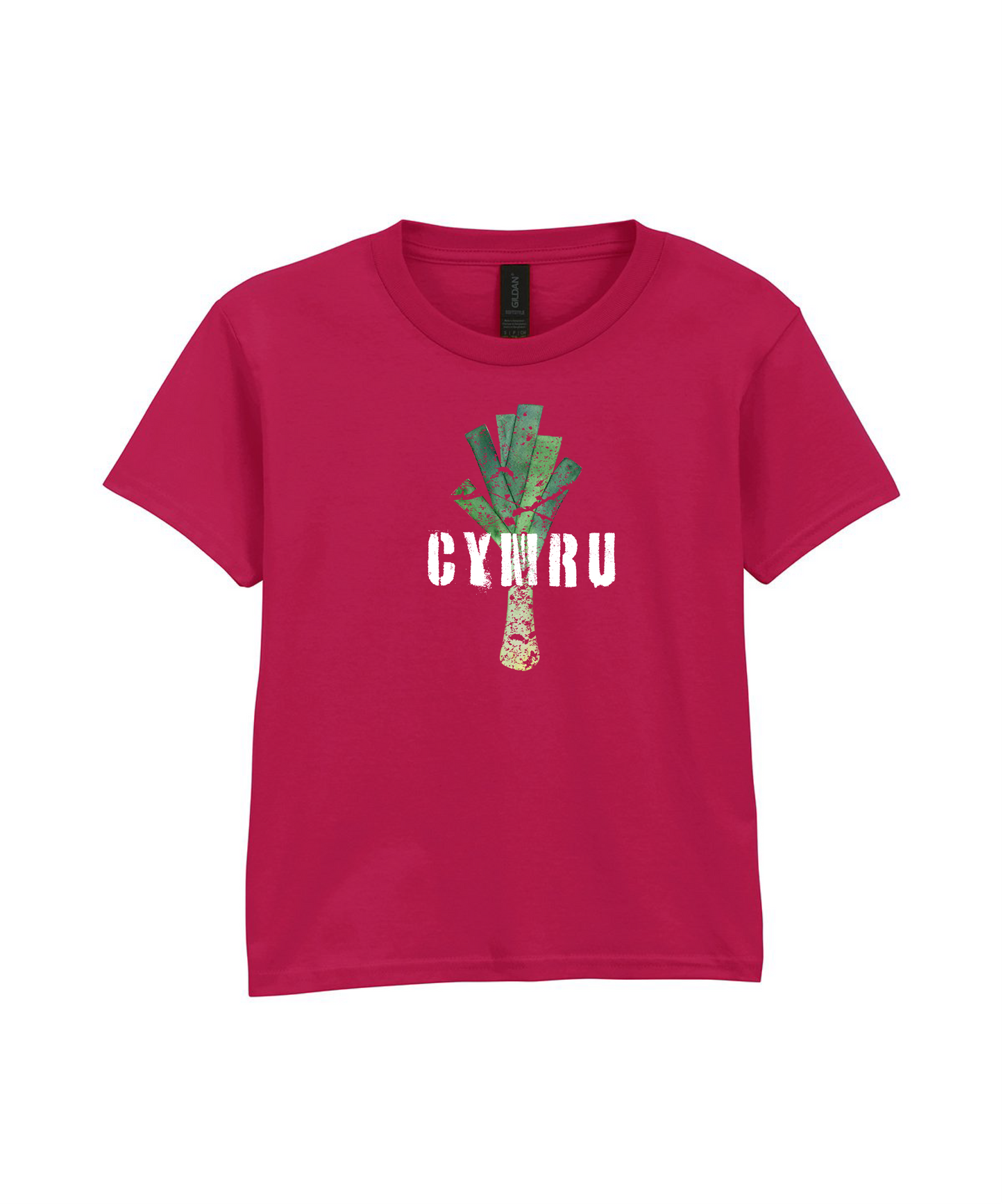 CHILD T SHIRT LEEK WALES
