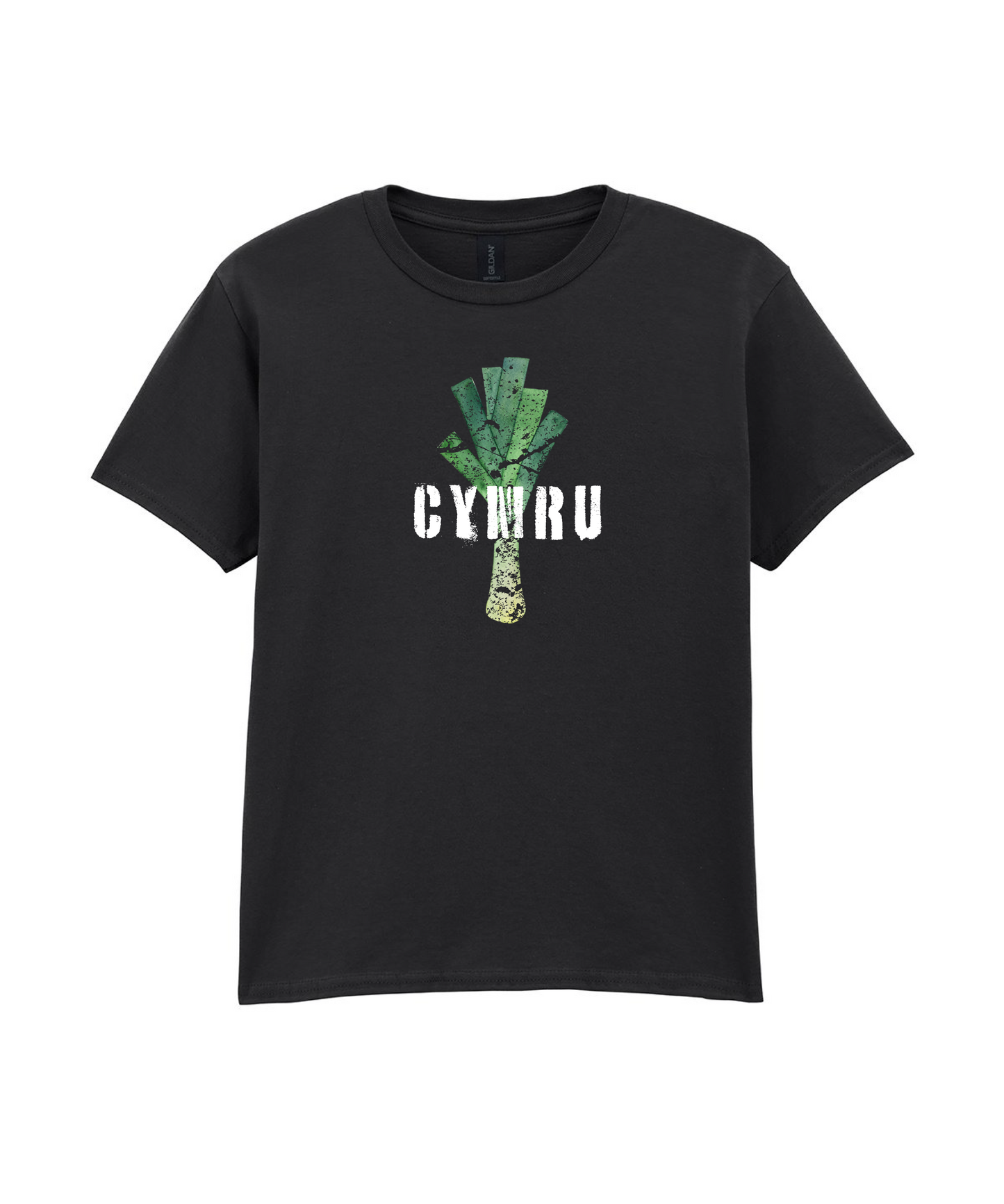 CHILD T SHIRT LEEK WALES