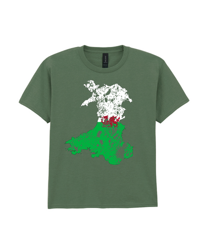 CHILD T SHIRT MAP WALES