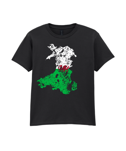 CHILD T SHIRT MAP WALES